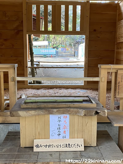 平塚八幡宮　神馬　皐月　いないときもある